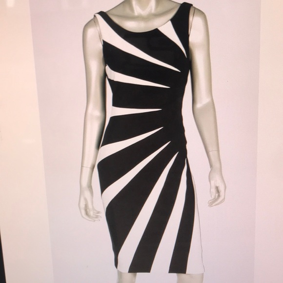 Joseph Ribkoff Dresses & Skirts - Like new, stunning Joseph Ribkoff dress